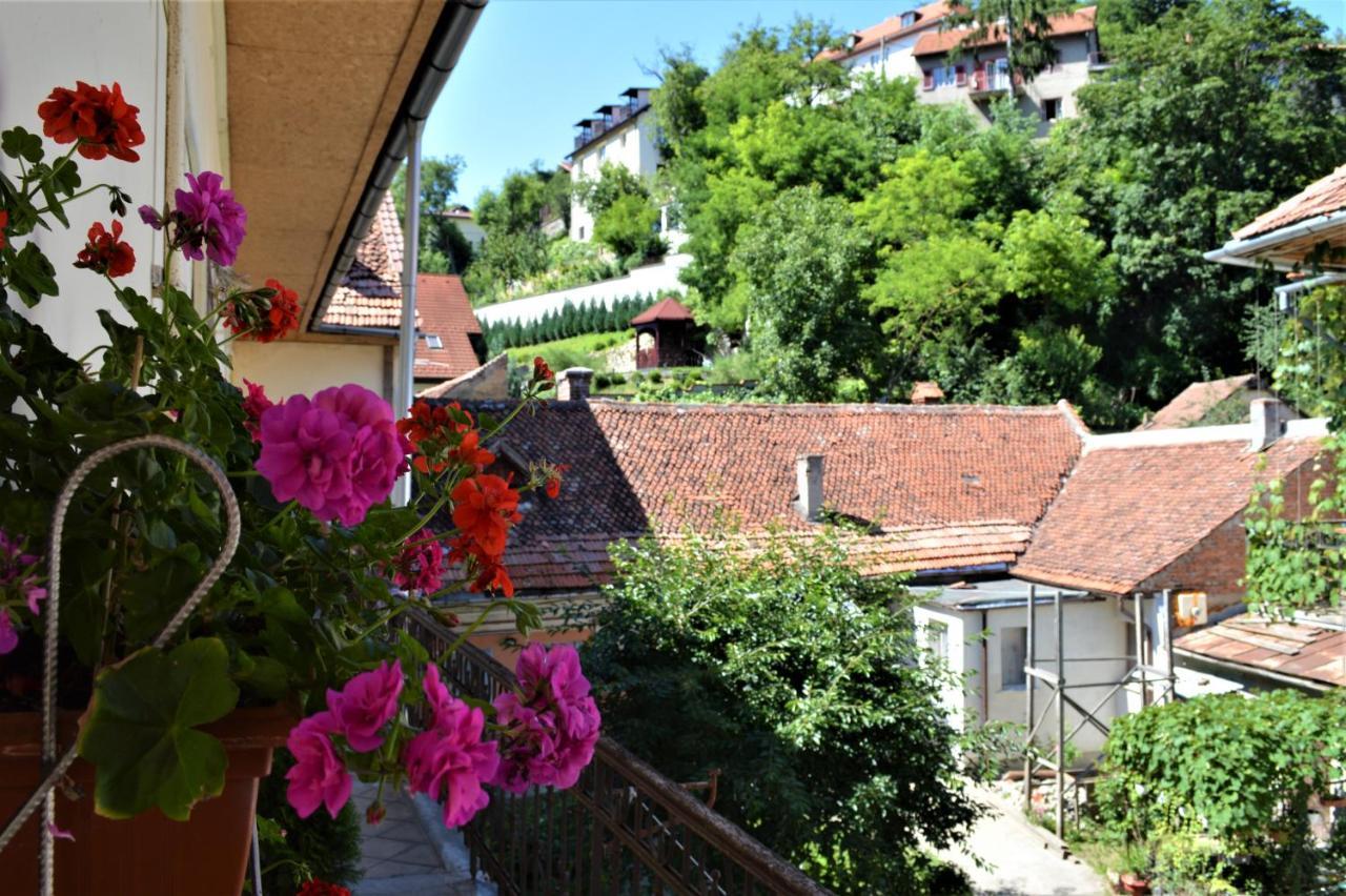 Eco Studio Brašov Exteriér fotografie