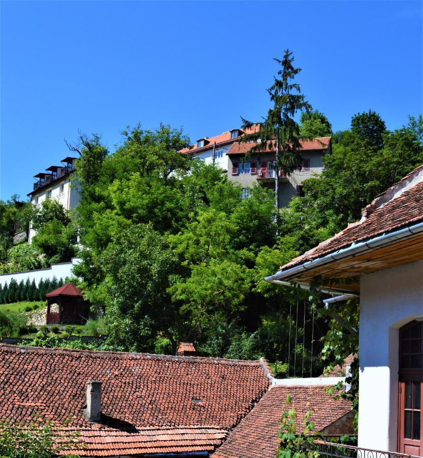 Eco Studio Brašov Exteriér fotografie